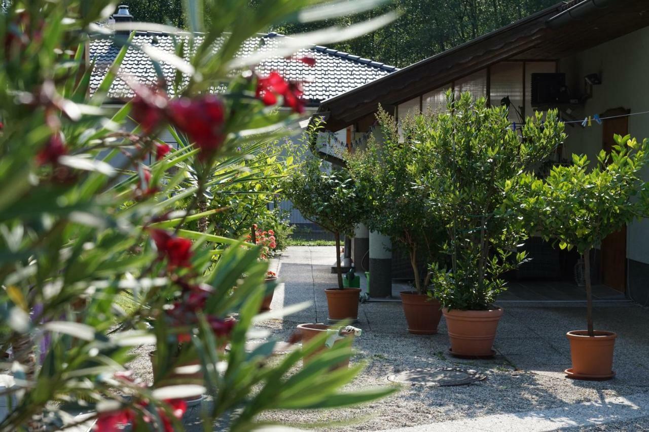 Northwest Studio Apartments Klagenfurt am Woerthersee Bagian luar foto